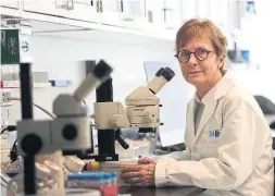  ?? RICHARD LAUTENS/TORONTO STAR ?? Dr. Janet Rossant has been selected as the Laureate for North America by L’Oréal-UNESCO For Women in Science — an organizati­on that has been recognizin­g outstandin­g women in STEM fields for 20 years.