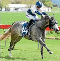  ?? RACE IMAGES ?? New Zealand Oaks race at Trentham. candidate Kapoor has died just days before Saturday’s