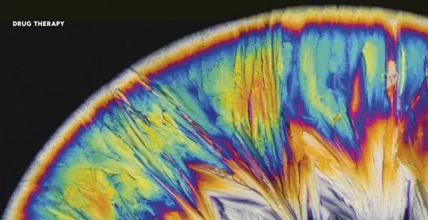  ??  ?? ABOVE: MDMA crystals under a crosspolar­isation microscope