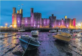  ??  ?? ● Caernarfon Castle will take on a purple colour as part of Rotary’s Purple4Pol­io campaign