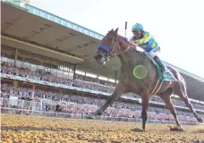  ?? ANTHONY GRUPPUSO, USA TODAY SPORTS ?? Victor Espinoza rides American Pharoah to a 51⁄ 2- length victory in Saturday’s Belmont, clinching the Triple Crown.