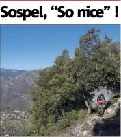  ?? (Photo Greg Germain) ?? Une dernière salve de spéciales et d’adrénaline avant la trêve hivernale attend ce week-end les enduristes azuréens dans les fameuses collines sospellois­es.