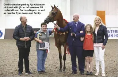  ??  ?? Gold champion gelding Aja Alisandro pictured with (from left) owners Alf Hallworth and Barbara Napier, as well as handler Ryan Jones and family