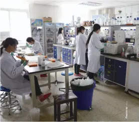  ??  ?? Students perform experiment­s at China Agricultur­al University, Beijing