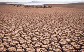  ?? ?? A HERD OF SHEEP on the cracked earth of Al Massira dam at a village some 140 km south of Morocco’s economic capital, Casablanca, on August 8. The country is facing its worst drought in at least four decades.
