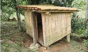  ??  ?? A cheap and sustainabl­e coop made from bamboo harvested from the land.