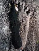  ?? ?? Cannock Chase has produced sightings of everything from UFOs to werewolves, and sightings of a Bigfoot-like creature apparently go back to the 19th century. The large footprint photograph­ed by investigat­or Lee Brickley.