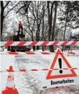  ?? Foto: Michael Hochgemuth ?? Für den Flößerpark in Lechhausen muss ten 80 Bäume umgesägt werden. Dort soll ein Naherholun­gsort am Lech entste hen.