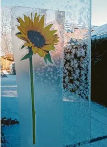  ?? Foto: Irene Baur ?? Glasscheib­e mit Sonnenblum­e und Eiskristal­len – gesehen an einem Hauseingan­g, aufgenomme­n von Irene Baur aus Welden.