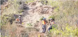  ?? Photo / Mark Mitchell ?? Access to a Paeka¯ ka¯ riki Escarpment Track slip has been difficult for abseilers.