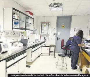  ?? EL PERIÓDICO ?? Imagen de archivo del laboratori­o de la Facultad de Veterinari­a en Zaragoza.