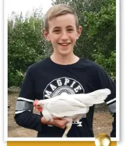  ??  ?? Who: Rhys Lilley Age: 14 Where: Rolleston, Christchur­ch Breeding: Leghorn bantam