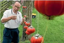  ??  ?? Bill Williams, of Colyton Rd, changes another bulb in one of the Chinese lanterns in the Christmas lights display in his garden.