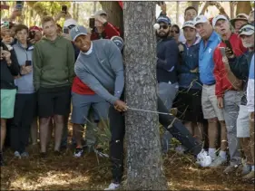  ??  ?? Tiger Woods hits from behind a tree on the fourth hole during the first round of the Valspar Championsh­ip golf tournament on Thursday, in Palm Harbor, Fla. AP PHOTO/MIKE CARLSON