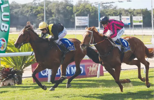  ?? Picture: STEWART McLEAN ?? CHAMPION: Barwon, with jockey Kirk Stone, holds off We Just Love It to win Race 5 at Cannon Park and secure the Up and Coming Stayers Series.