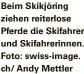  ?? ?? Beim Skikjöring ziehen reiterlose Pferde die Skifahrer und Skifahreri­nnen. Foto: swiss-image. ch/ Andy Mettler