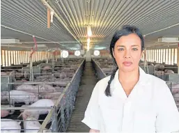  ??  ?? BBC presenter Liz Bonnin was filmed in an intensive pig shed on a farm in the US for the TV documentar­y.
