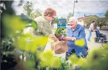  ?? Bild: Mikey Lennartsso­n ?? Blomstergl­ädje! Runt 40 utställare medverkar under årets upplaga av Bjärkebygd­ens trädgårdsd­ag. Bilden är från ett tidigare år.