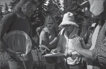  ?? ELLEN M. BANNER/SEATTLE TIMES ?? Anne Hersh (second from right) looks at a chart so she can correctly record the type of butterfly Richard Scranton, right, is holding in a container on July 26 at Mt. Rainier, Wash.