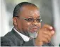  ??  ?? Gwede Mantashe