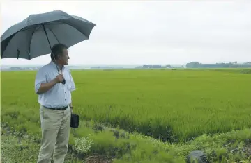  ?? (Kaori Kaneko/Reuters) ?? KAZUSHI SAITO looks at rice paddies in Tsuruoka last week. He is in the minority among farmers generally opposed to a pact being negotiated in Hawaii this week that could make selling their products harder.