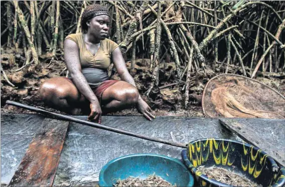  ?? Photo: Akintunde Akinleye/Reuters ?? Caught in the crossfire: Despite the billions of dollars worth of oil flowing through the Niger Delta, many inhabitant­s are poor and relied heavily on the now-discontinu­ed amnesty money.