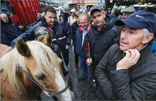  ?? Photo by Valerie O’Sullivan ?? No Deal: Joe Daly, a dairy farmer from Valentia Island, not willing to take anything less than €700 for his prized pony at the Annual Kenmare Fair Day.