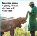  ??  ?? Touching scene: A young African elephant with his keeper