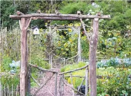  ?? LEE REICH PHOTOS VIA AP ?? Lee Reich’s garden in New Paltz, N.Y., is a mix of vegetables, flowers, herbs and fruits.