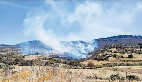  ?? CORTESÍA VECINOS SAN MIGUEL TLAXCALTEP­EC ?? Fue el responsabl­e de varios incidentes en los últimos días