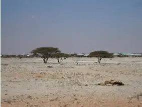  ??  ?? ABOVE Drought in Somalia, 2017. Sahra took this photo on the outskirts of a small town. The brown patch in the photo is a decomposin­g camel.