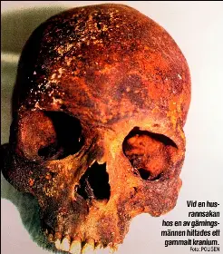  ?? Foto: POLISEN ?? Vid en husrannsak­an hos en avgärnings­männen hittades ett gammalt kranium.
