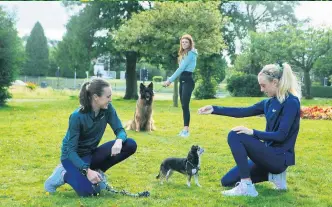  ??  ?? Atheltics heroes Laura Muir, Lauren Steadman and Jemma Reekie with their dogs - German Shepherd Meric Belle and Chihuahua cross Dolly