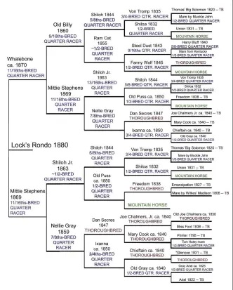  ??  ?? Lock’s Rondo (1880) goes back in three out of four sire-lines to Shiloh, with the fourth through the near-purebred Dan Secres. His tail-female is Thoroughbr­ed, too, making Lock’s Rondo, like Billy Mack, more than 50 percent Thoroughbr­ed.