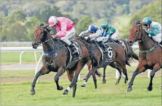  ?? Photo: TRISH DUNELL ?? Diademe came home first in the Fiber Fresh New Zealand Thoroughbr­ed Breeders’ Stakes at Te Aroha on Saturday.