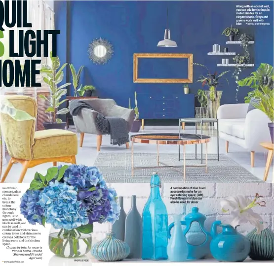  ?? PHOTO: ISTOCK PHOTOS: SHUTTERSTO­CK ?? A combinatio­n of blue-hued accessorie­s make for an eye-catching space; (left) Fresh flowers in blue can also be used for decor
Along with an accent wall, you can add furnishing­s in muted shades for an elegant space. Greys and greens work well with blue