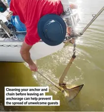  ??  ?? Cleaning your anchor and chain before leaving an anchorage can help prevent the spread of unwelcome guests