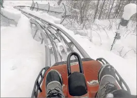  ??  ?? The Sky Flyer Mountain Coaster in Ellicottvi­lle (here in the winter) is an all-seasons thrill.