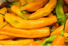  ?? Getty Images ?? The aji amarillo, the famed “yellow” pepper of Peru.