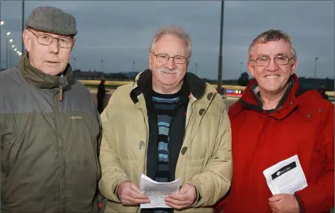  ??  ?? P.J. Phelan with brothers, John and Andrew Hand, at the greyhound racing in Enniscorth­y on Thursday.