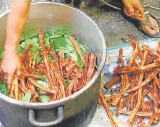  ?? // ABC ?? Una mujer prepara la ayahuasca, con alto poder alucinógen­o