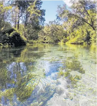  ?? PATRICK CONNOLLY/ORLANDO SENTINEL ?? Ichetuckne­e Springs features a three-hour tube run and crystal-clear spring water.