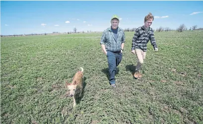  ?? BERNARD WEIL TORONTO STAR FILE PHOTO ?? David McCann and his son John-David at their family farm in Milton. “I think they realized we were actual human beings down here,” McCann said of the school board’s recent decision to not expropriat­e 20 acres of his land.