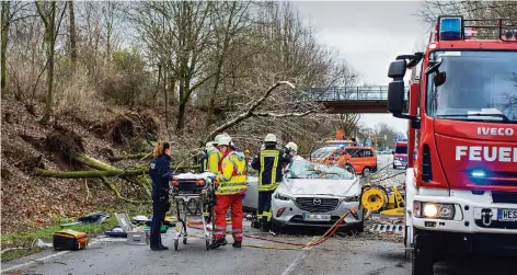  ?? FOTO: CHRISTOPH REICHWEIN ?? Auf der Venloer Straße in Moers ist ein Baum durch den starken Sturm auf das Auto eines Duisburger­s gefallen. Der Mann wurde schwer verletzt und musste von der Feuerwehr geborgen werden.