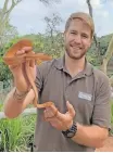  ?? SUPPLIED ?? TEACHING people about the importance of protecting wildlife is central to the mission of Crocworld Conservati­on Centre, said manager James Wittstock, seen here holding an Amazon Tree Boa. The centre relocates snakes from populated areas to keep people and the feared animals safe.