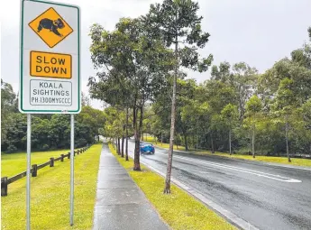  ?? ?? A road leading to The Shores at Helensvale, where the Coomera Connector will be built.