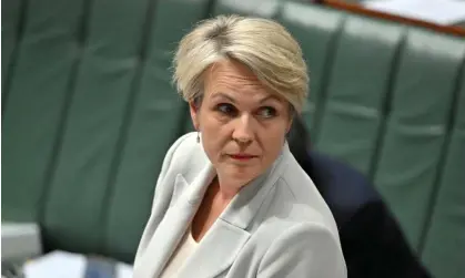  ?? Photograph: Mick Tsikas/AAP ?? Tanya Plibersek’s pledge to restore trust and integrity to environmen­tal law is under the spotlight.