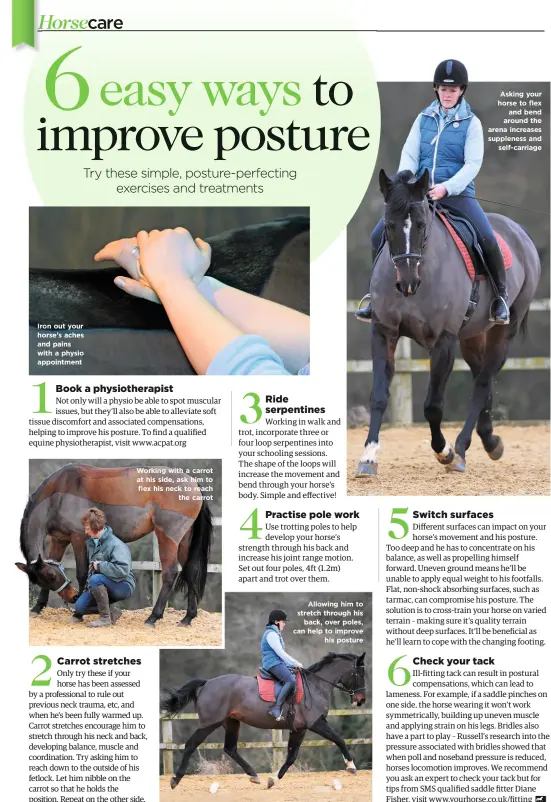  ??  ?? Iron out your horse’s aches and pains with a physio appointmen­t Working with a carrot at his side, ask him to flex his neck to reach the carrot Allowing him to stretch through his back, over poles, can help to improve his posture Asking your horse to...