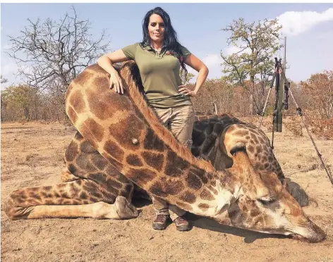  ?? FOTO: ACTION PRESS ?? Solche Fotos soll es nach dem Verbot des Umweltmini­steriums von Namibia nicht mehr geben: Die US-Amerikaner­in Sabrina Corgatelli posiert mit einer von ihr erlegten schwarzen Giraffe auf ihrer Facebook-Seite.