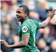  ??  ?? Bright spark: Jose Izquierdo celebrates his part in Brighton’s match-winning goal